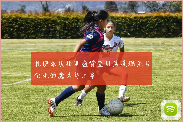 扎伊尔埃梅里盛赞登贝莱展现无与伦比的魔力与才华