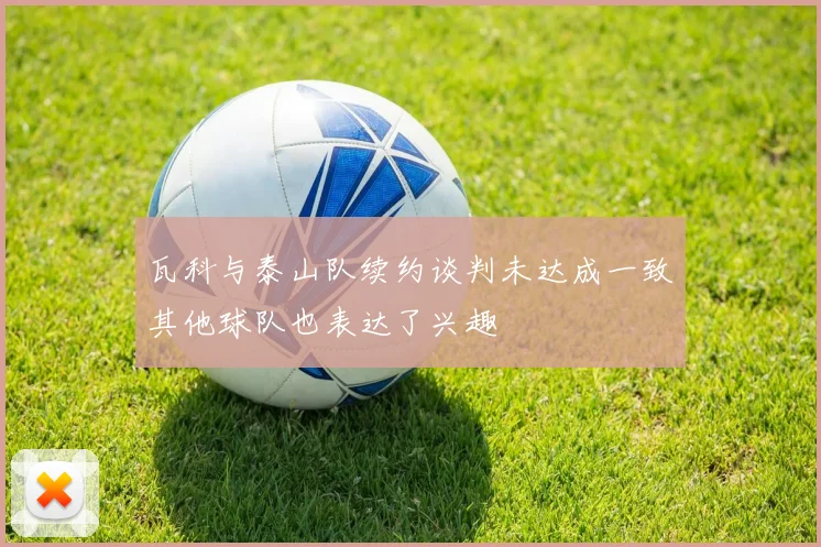 瓦科与泰山队续约谈判未达成一致其他球队也表达了兴趣