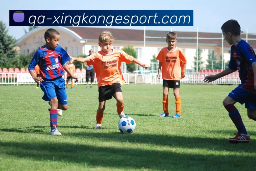 App Interface Preview