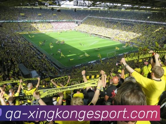 星空电竞APP 封面图